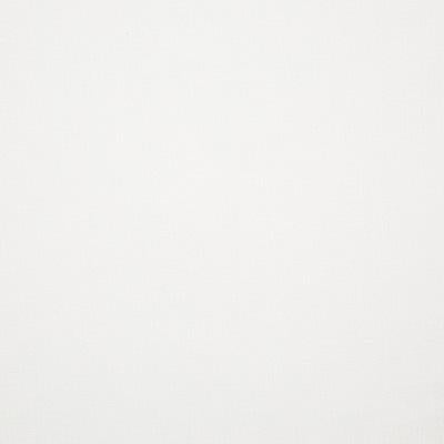 Pindler PAXTON SNOW Fabric