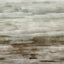 Galerie 27649 Cerra Abstract Green Mural 27649 Green Mural