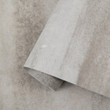 Galerie 27652 Cerra Abstract Beige Mural 27652 Beige Mural