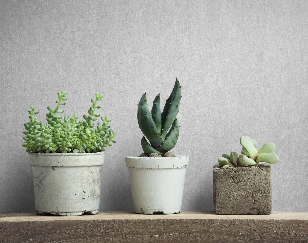 Galerie 35137 City Romance Plain Texture Grey Wallpaper 35137 Grey Wallpaper
