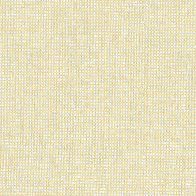 Galerie IT32462 Italian Textures 4 Plain Texture Beige Wallpaper IT32462 Beige Wallpaper