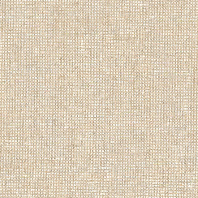 Galerie IT32464 Italian Textures 4 Plain Texture Beige Wallpaper IT32464 Beige Wallpaper
