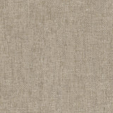 Galerie IT32469 Italian Textures 4 Plain Texture Grey Wallpaper IT32469 Grey Wallpaper