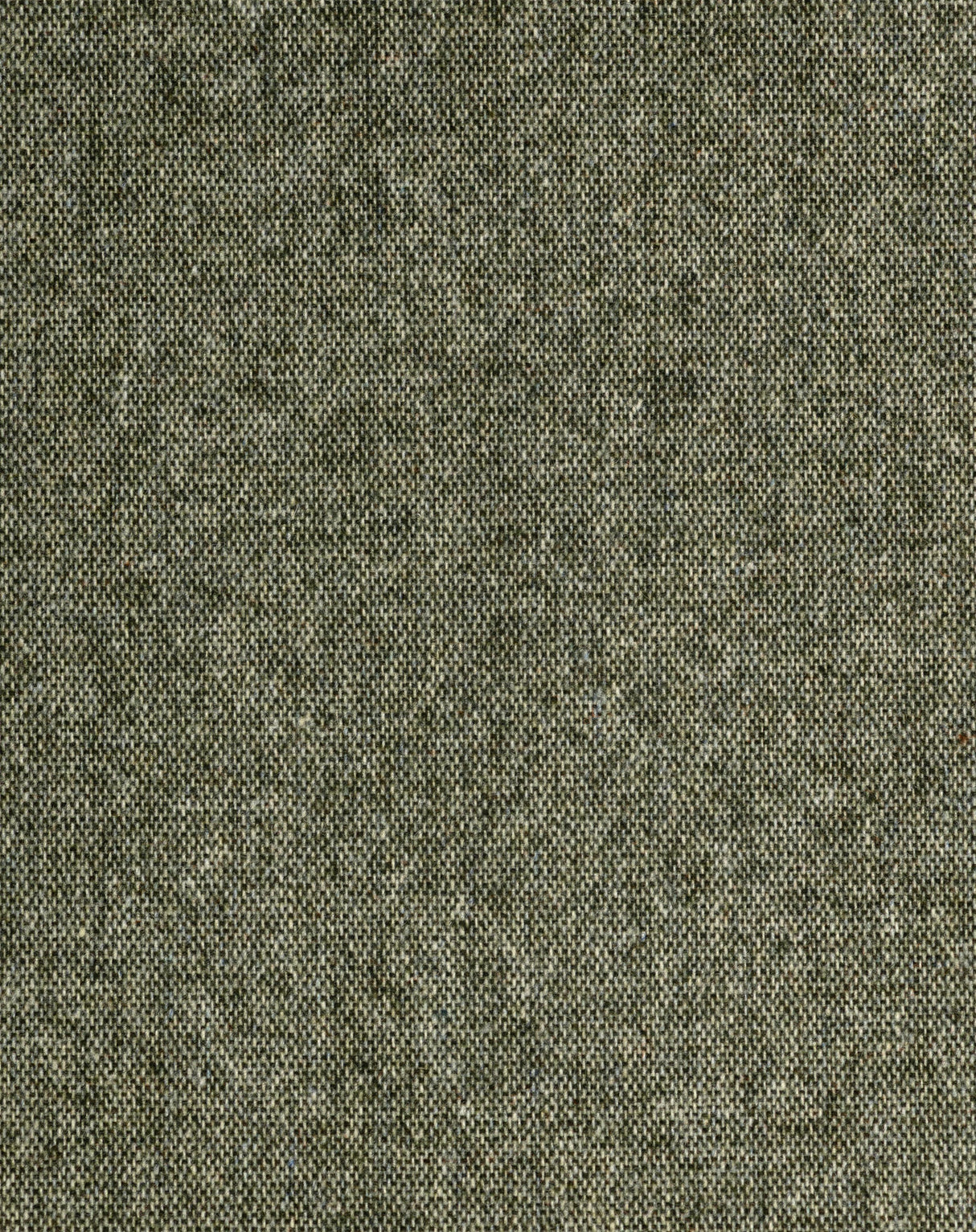 Winfield Thybony COMODO FOREST Wallpaper