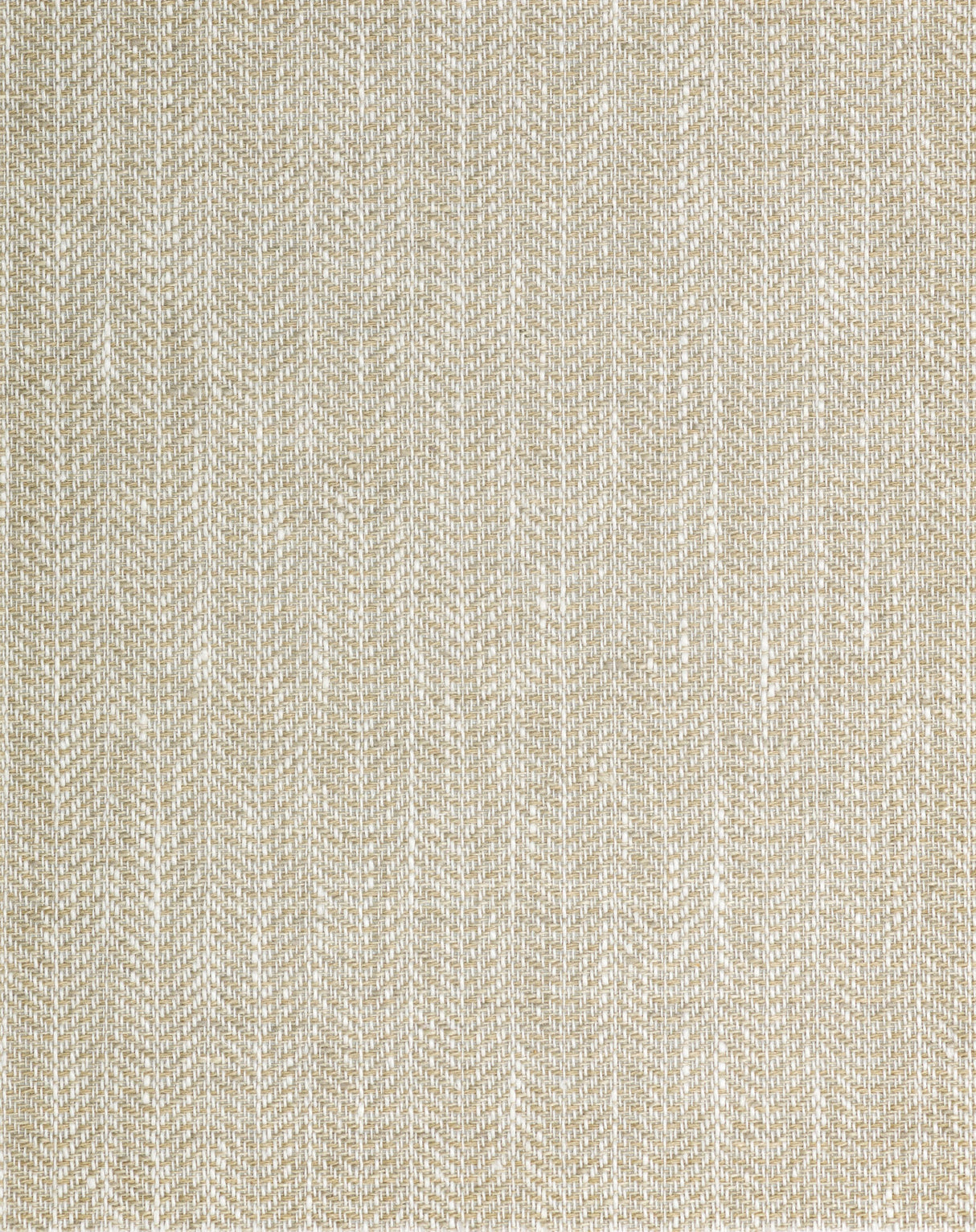 Winfield Thybony GALLONE CYPRESS Wallpaper