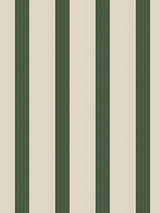 Scalamandre Tessara Stripe - Wallcovering Forest Wallpaper