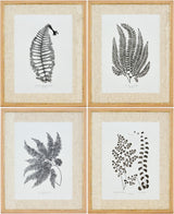 Livabliss Ferne FERNE-002 1"H x 17"W x 21"D; 1"H x 17"W x 21"D; 1"H x 17"W x 21"D Art