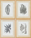 Livabliss Ferne FERNE-002 1"H x 17"W x 21"D; 1"H x 17"W x 21"D; 1"H x 17"W x 21"D Art