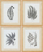 Livabliss Ferne FERNE-002 1"H x 17"W x 21"D; 1"H x 17"W x 21"D; 1"H x 17"W x 21"D Art
