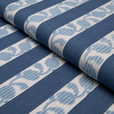 Schumacher Priya Warp Print Indigo Fabric