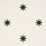 Schumacher Stargaze Black & Cream Wallpaper