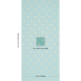 Schumacher Stargaze Grand Central Wallpaper