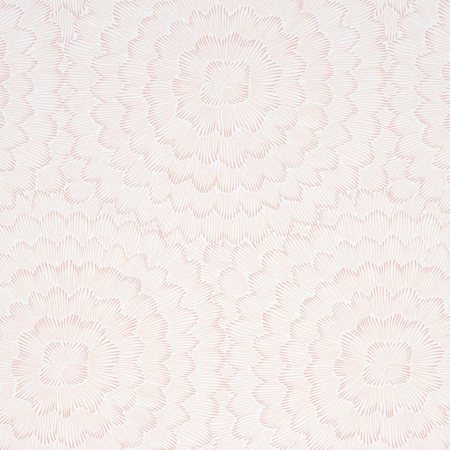 Schumacher Feather Bloom Salmon Wallpaper