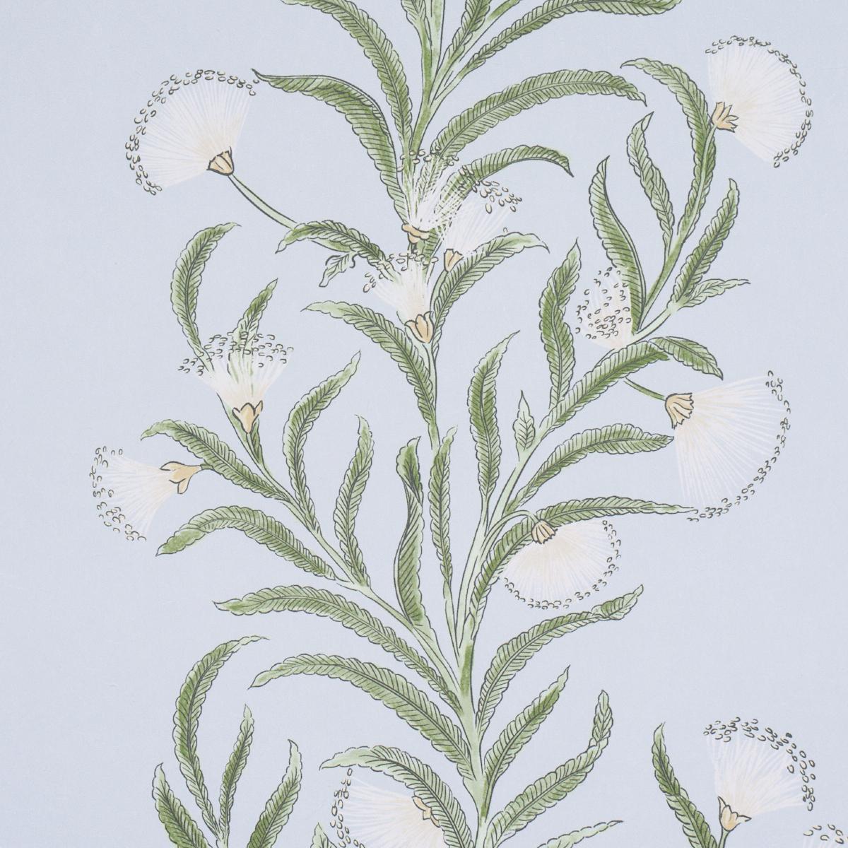 Schumacher Tasmanian Mimosa Sky Wallpaper