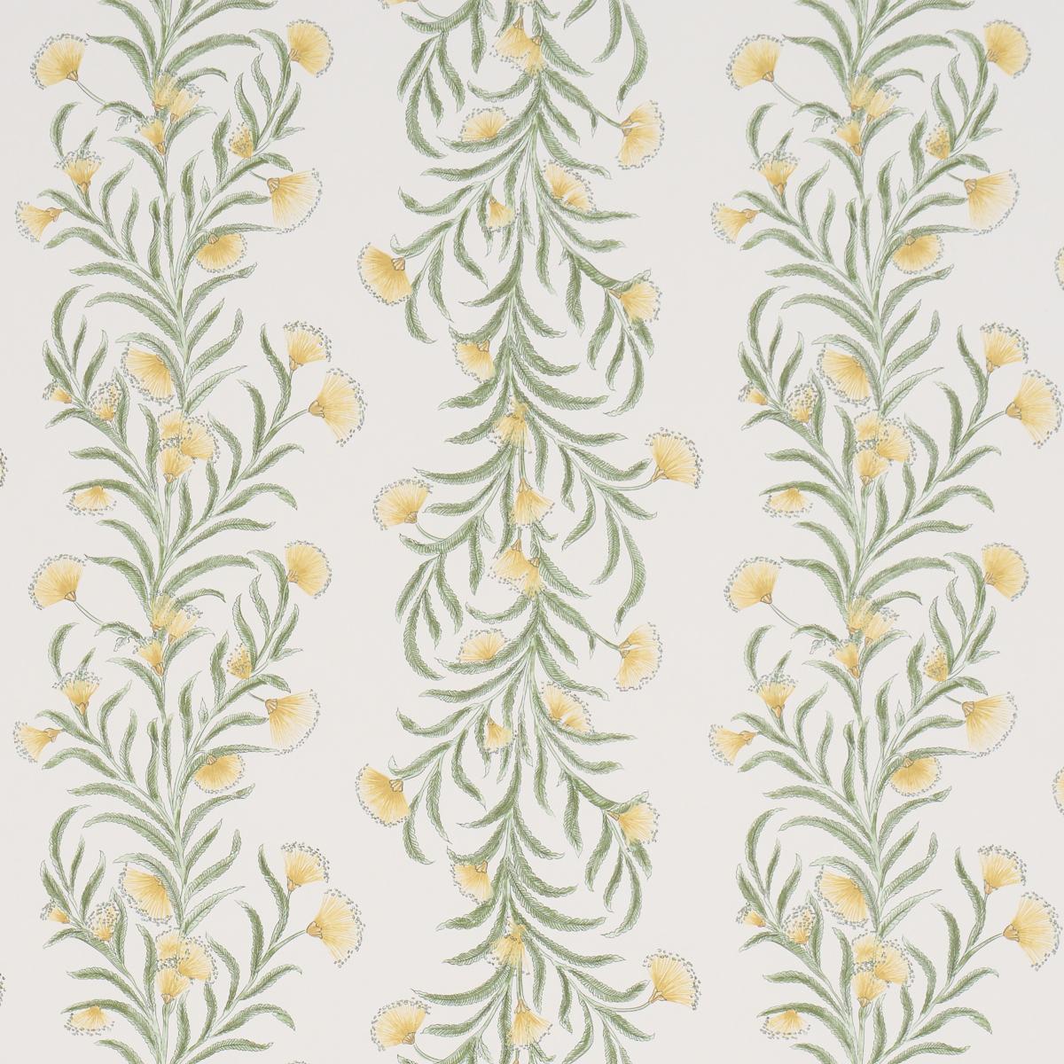 Schumacher Tasmanian Mimosa Marigold Wallpaper