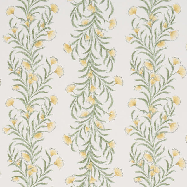 Schumacher Tasmanian Mimosa Marigold Wallpaper