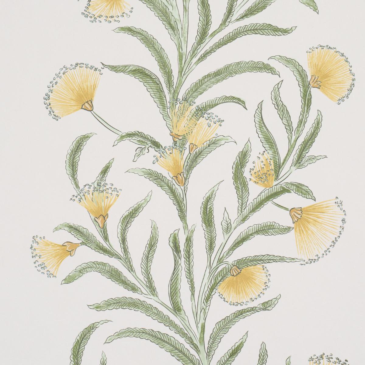 Schumacher Tasmanian Mimosa Marigold Wallpaper