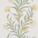 Schumacher Tasmanian Mimosa Marigold Wallpaper