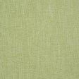 Schumacher Dean Indoor/Outdoor Grass Fabric