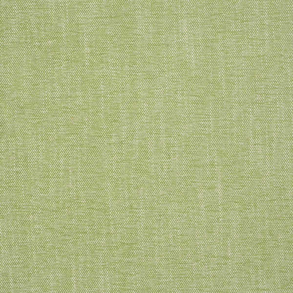 Schumacher Dean Indoor/Outdoor Grass Fabric