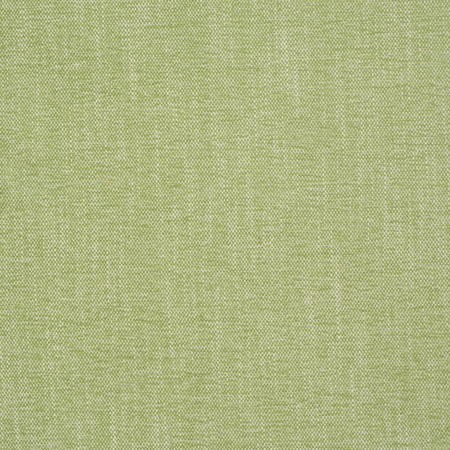 Schumacher Dean Indoor/Outdoor Grass Fabric