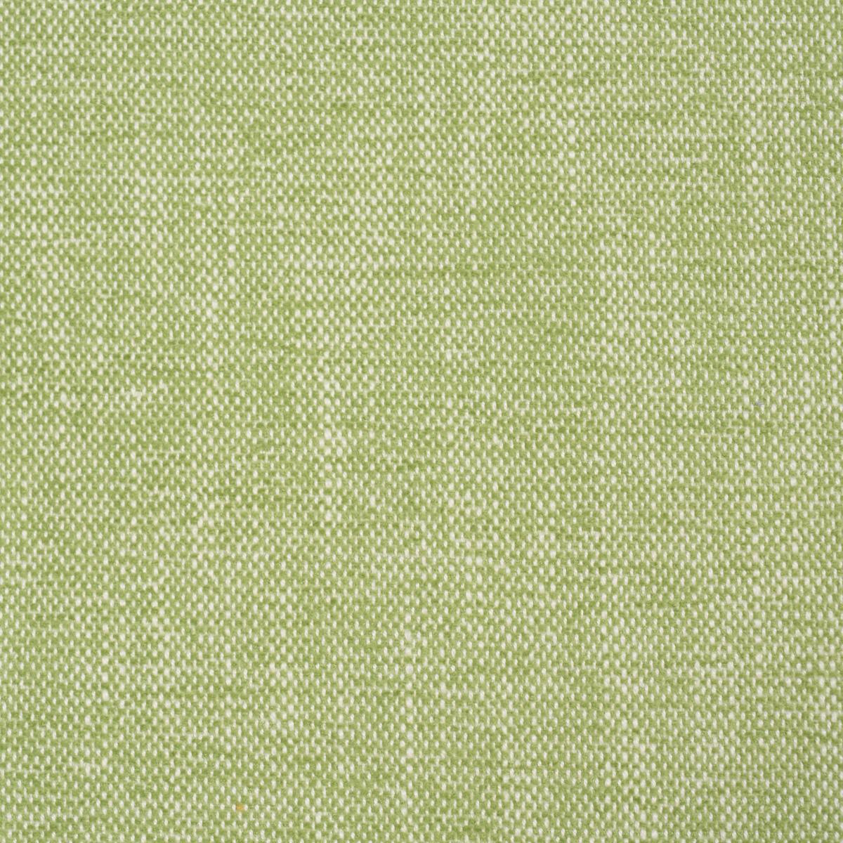 Schumacher Dean Indoor/Outdoor Grass Fabric
