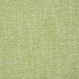 Schumacher Dean Indoor/Outdoor Grass Fabric