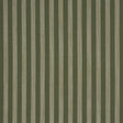 Schumacher Jonah Stripe Green Fabric