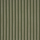 Schumacher Jonah Stripe Green Fabric