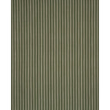 Schumacher Jonah Stripe Green Fabric