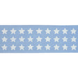 Schumacher Sky Astra Block Print Tape