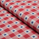 Schumacher Independence Plaid Americana Fabric