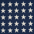Schumacher Starfield Appliqué Navy Fabric