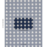 Schumacher Starfield Appliqué Navy Fabric