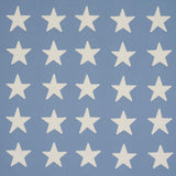 Schumacher Starfield Appliqué Sky Fabric