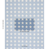 Schumacher Starfield Appliqué Sky Fabric