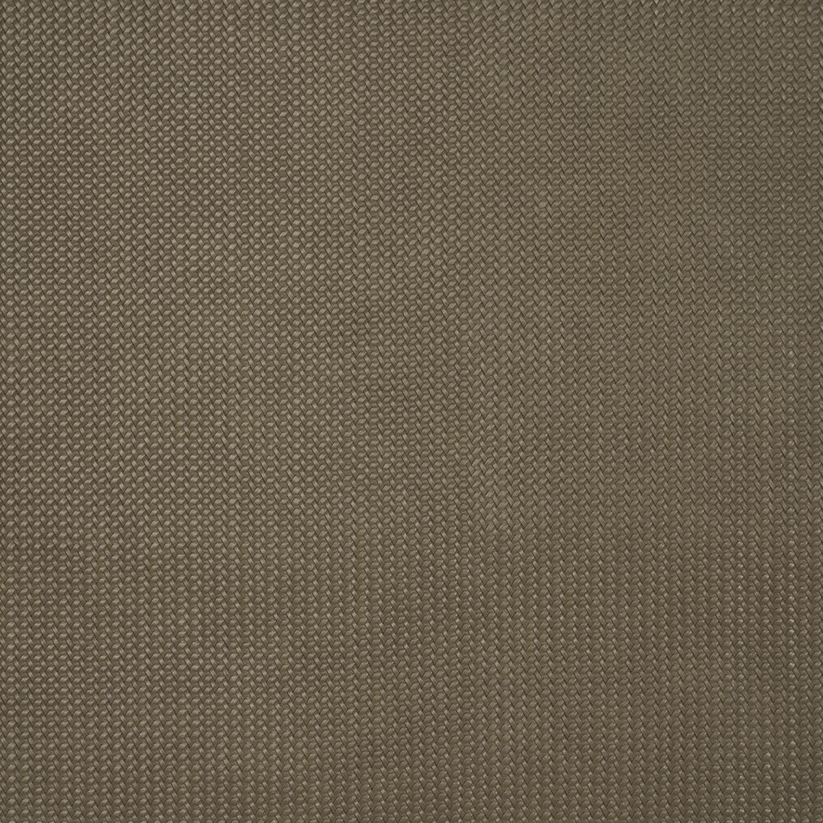 Schumacher Vegan Leather Rattan Indoor/Outdoor Ash Fabric