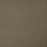 Schumacher Vegan Leather Rattan Indoor/Outdoor Ash Fabric