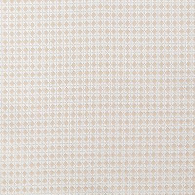 Pindler HAWKINS COCONUT Fabric