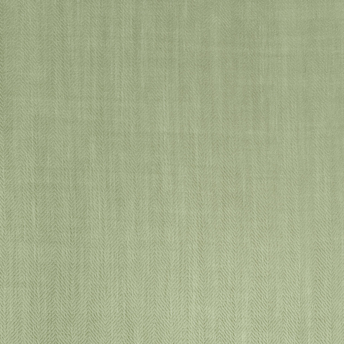 Coraggio La Cumbre Drive Artichoke Fabric