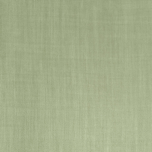 Coraggio La Cumbre Drive Artichoke Fabric