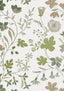 Thibaut Bloom Sage Wallpaper