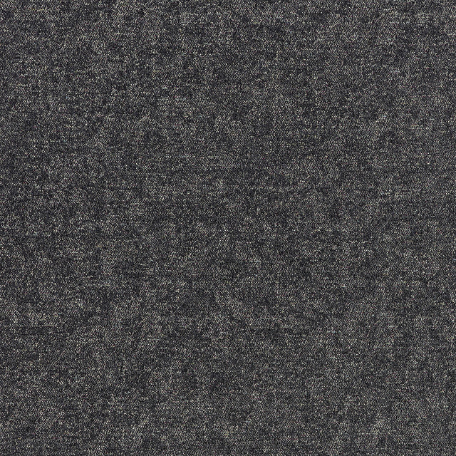Coraggio Monaco Drive Charcoal Fabric