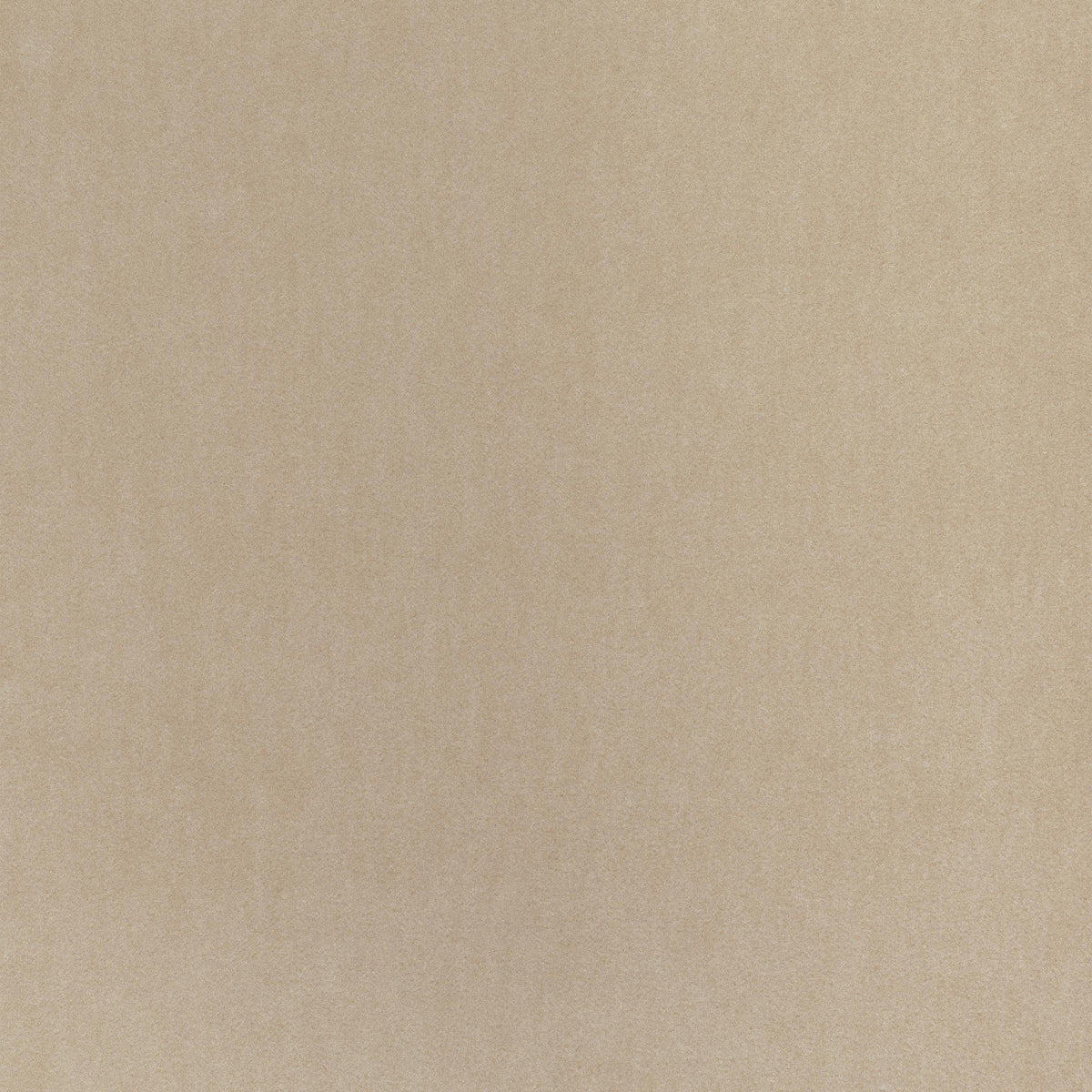 Coraggio Via De La Paz Dune Fabric