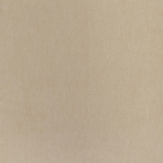 Coraggio Via De La Paz Dune Fabric