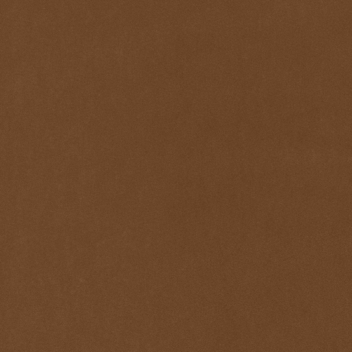 Coraggio Via De La Paz Amber Fabric