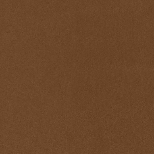 Coraggio Via De La Paz Amber Fabric