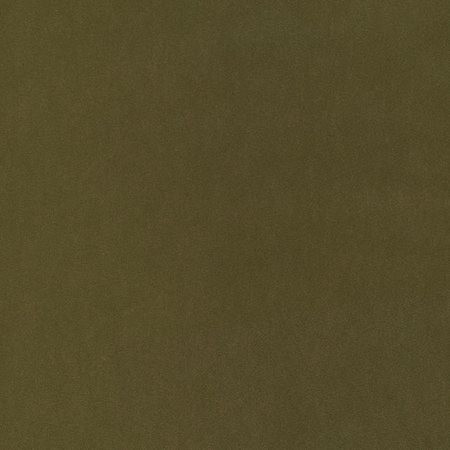 Coraggio Via De La Paz Martini Fabric