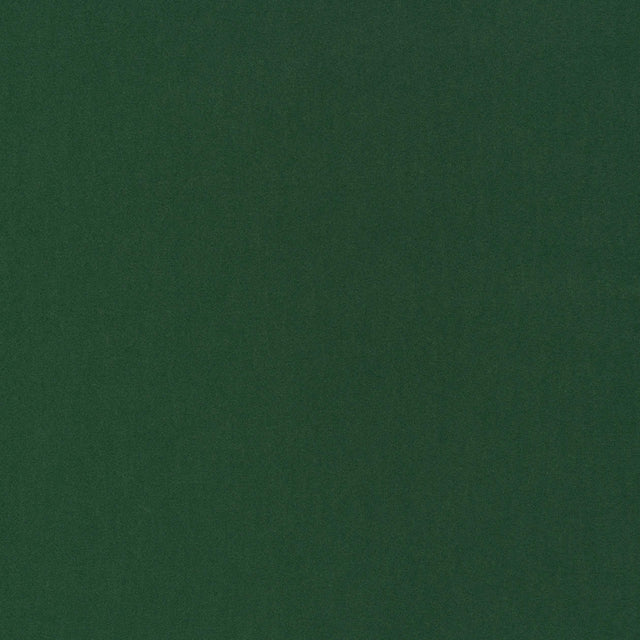 Coraggio Via De La Paz Hemlock Fabric