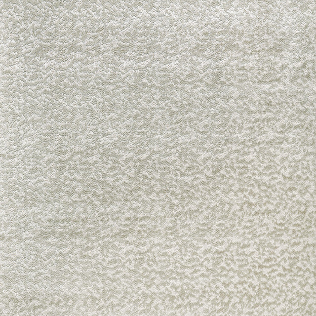 Coraggio Chautauqua Arctic Fabric